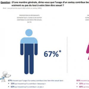 Analysis of the Status Quo of Adult Products in the French Market